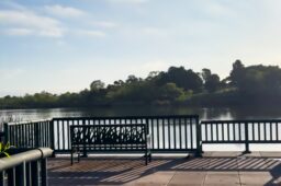 シリコンバレー式ダイエットをやってみた(ツライ)