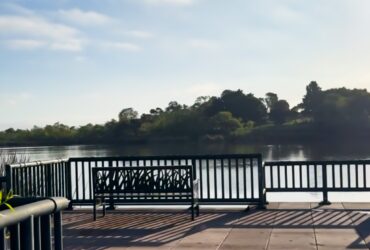 シリコンバレー式ダイエットをやってみた(ツライ)