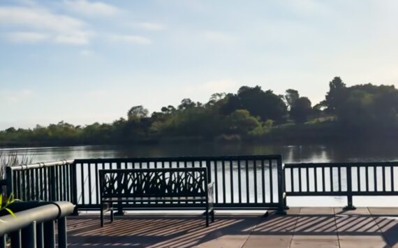 シリコンバレー式ダイエットをやってみた(ツライ)