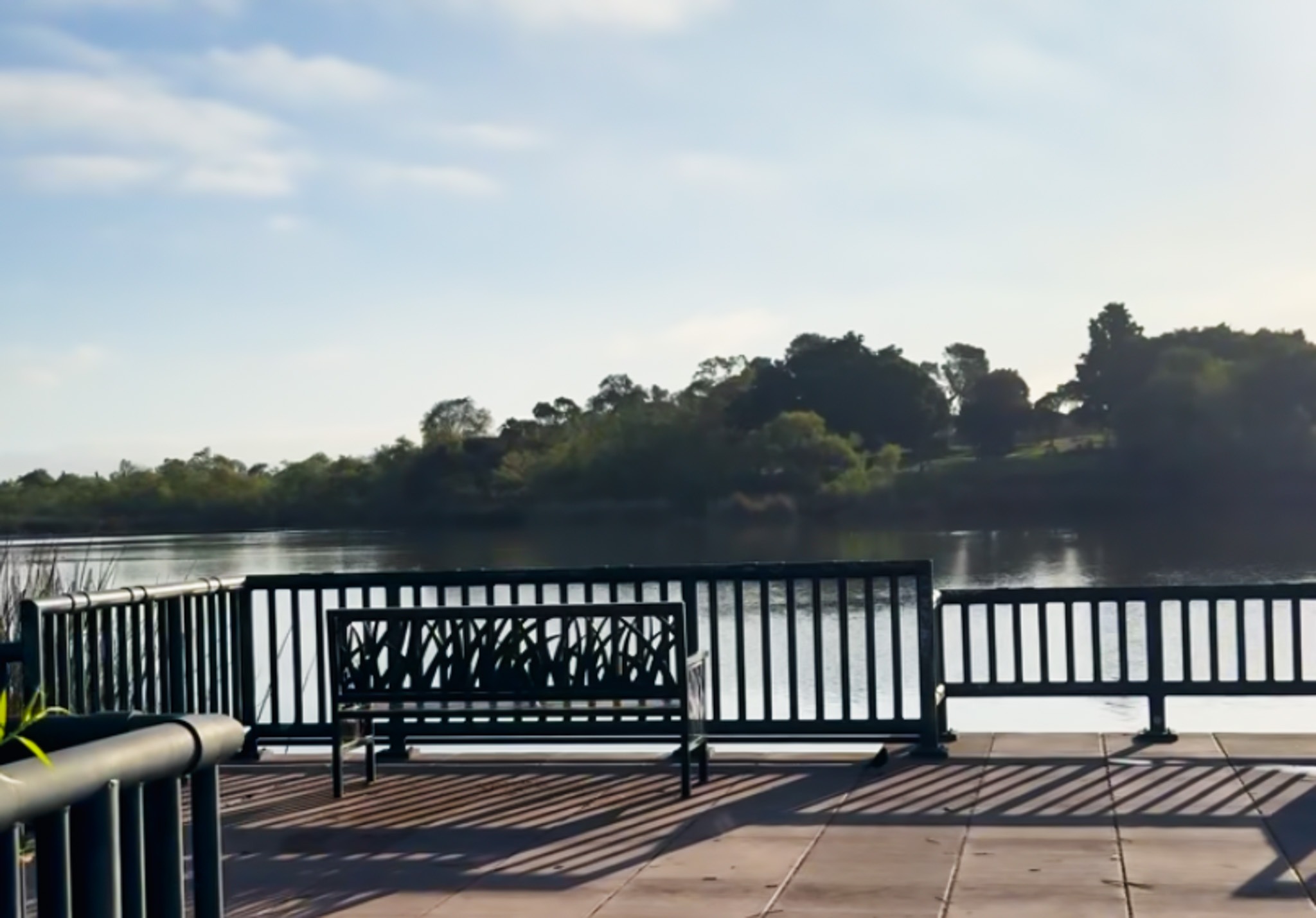 シリコンバレー式ダイエットをやってみた(ツライ)